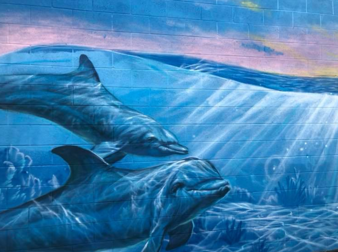 Deseret Storage Dolphin Mural